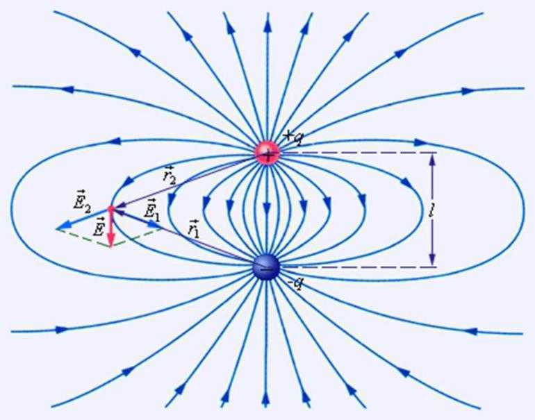 Линии электростатического поля
