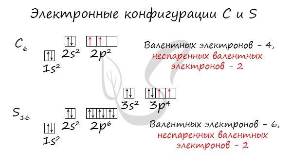 Электронные конфигурации углерода и серы