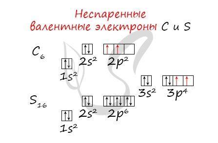 Валентные электроны углерода и серы