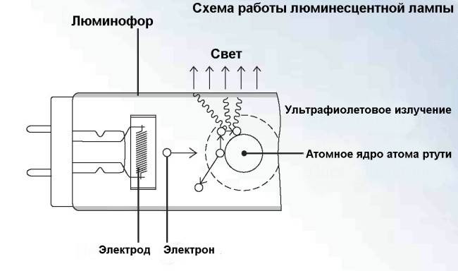 Внутренняя конструкция люминесцентной лампы