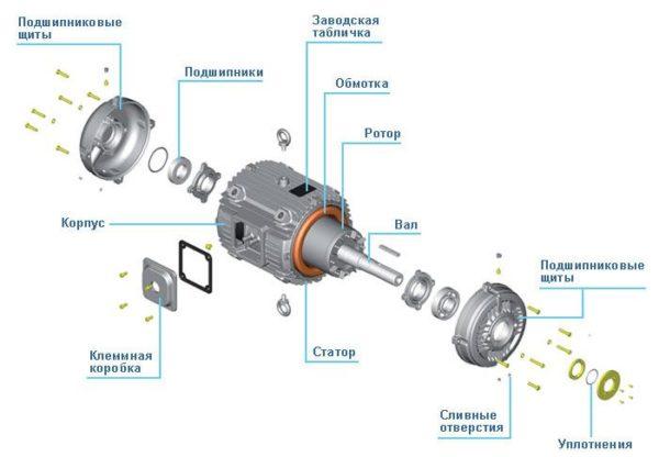 Конструкция электродвигателя