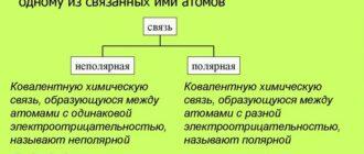 Поляризация