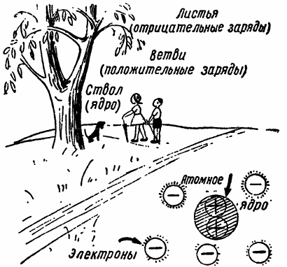 Отрицательные и положительные заряды