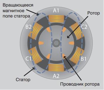 Полярность ротора